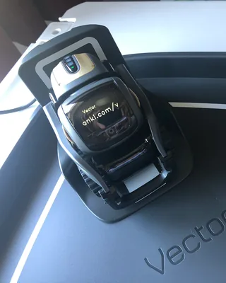 Vector by Anki