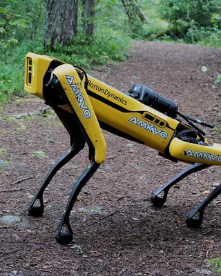 Spot by Boston Dynamics