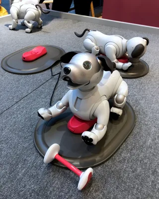 aibo (ERS-1000) by Sony