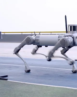 B2 by Unitree Robotics