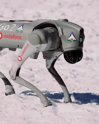 Go2 by Unitree Robotics
